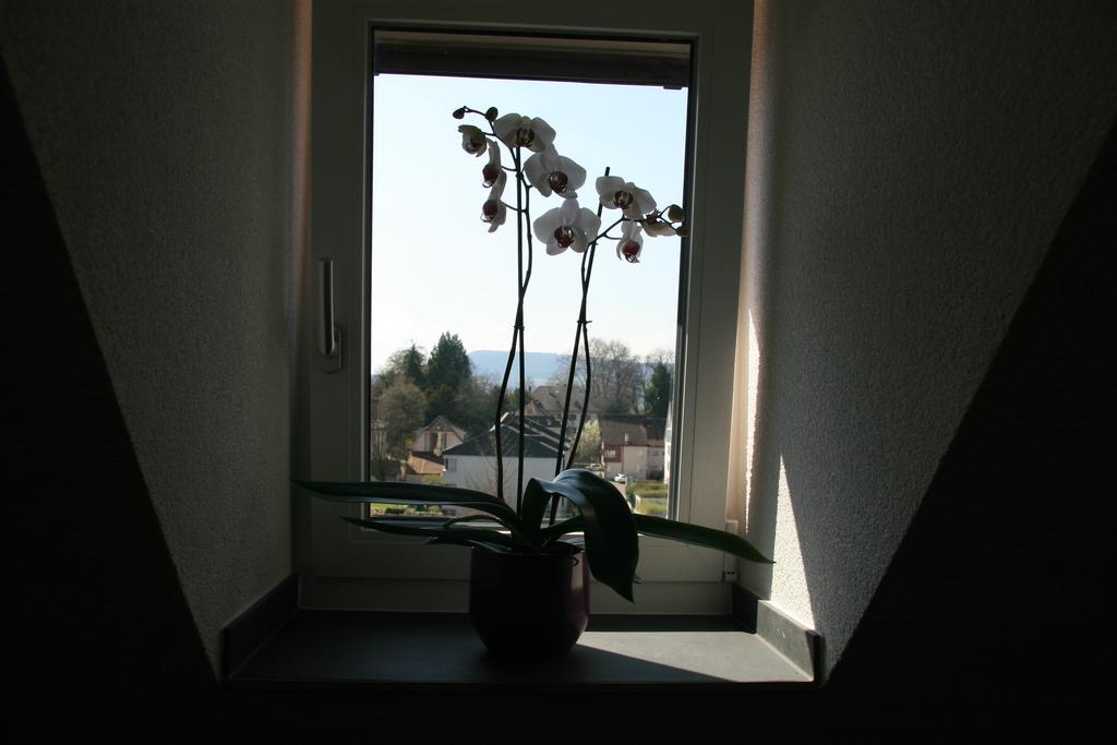 Hotel Eremitage Arlesheim Eksteriør bilde